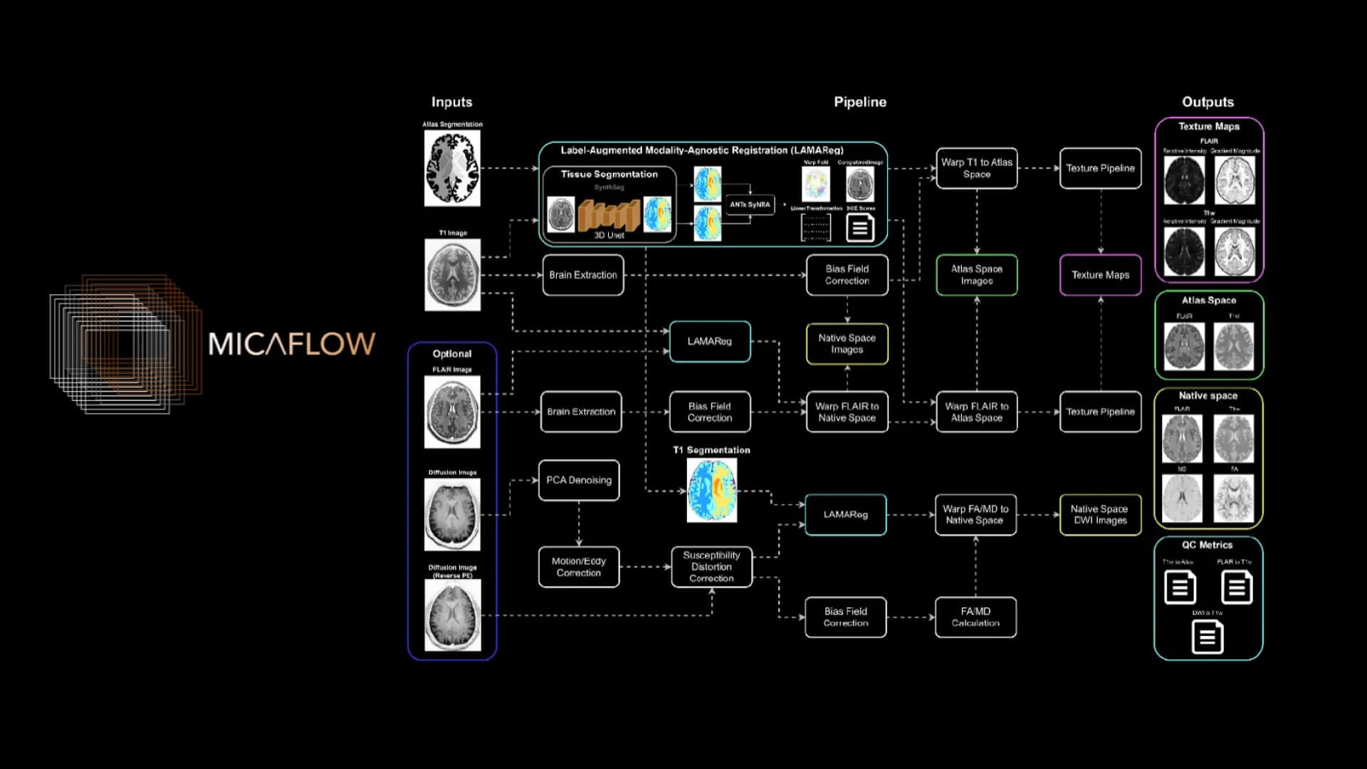 Whole-brain morphometric analysis